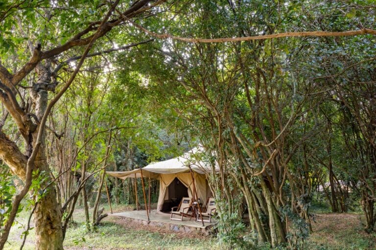 Luxury Tent