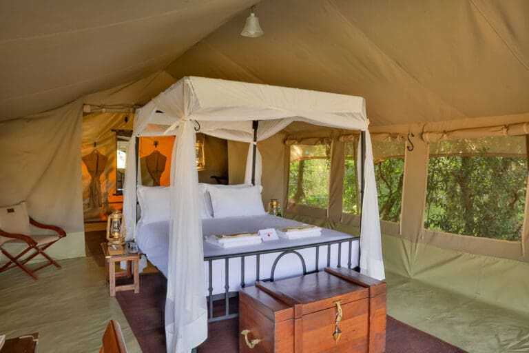 Luxury Tent
