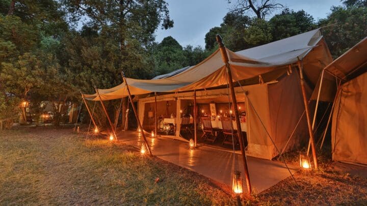 Embracing Travel Trends for 2025: How Sentinel Mara Camp is Leading the Way in Sustainable Safari Tourism