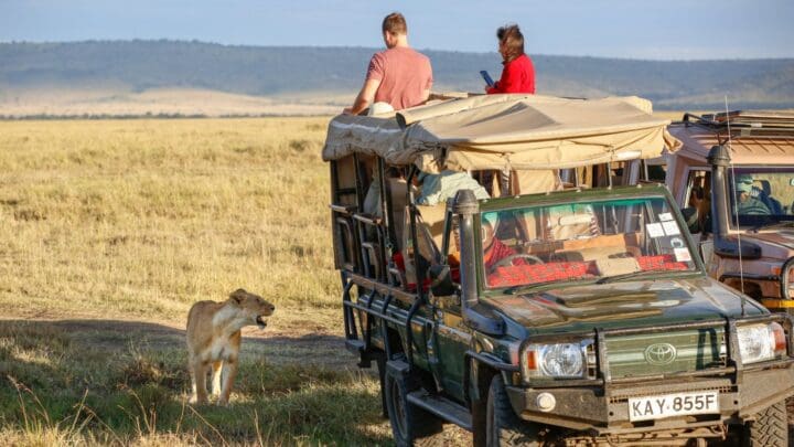 Thriving in the Wild: Witnessing the Big Five at Sentinel Mara Camp